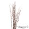 Uniquewise 12 pcs Natural Decorative Dry Branches Authentic Sticks, Home Decoration and Wedding Craft, DIY Greenery Plants Craft Vases fillers Garden Hotel Farmhouse Decor
